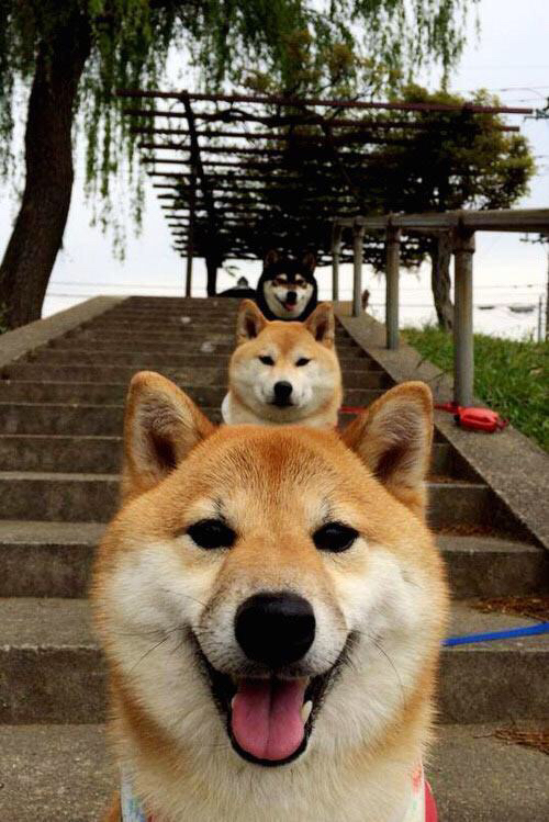 西甲:马德里双雄激烈争夺,积分差距逐渐缩小,马德里竞技西甲直播赛