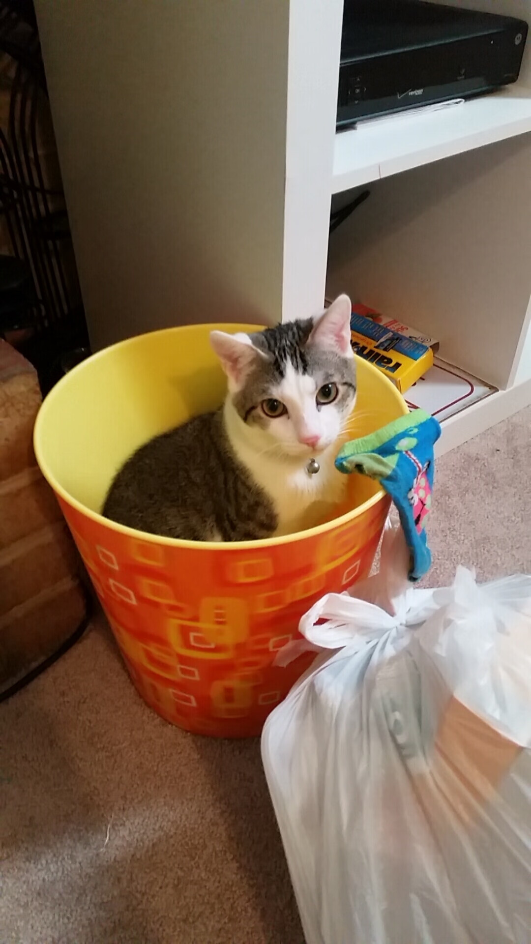 西甲:马德里双雄再起波澜,积分榜前两名难分伯仲,马德里竞技西甲联赛排名