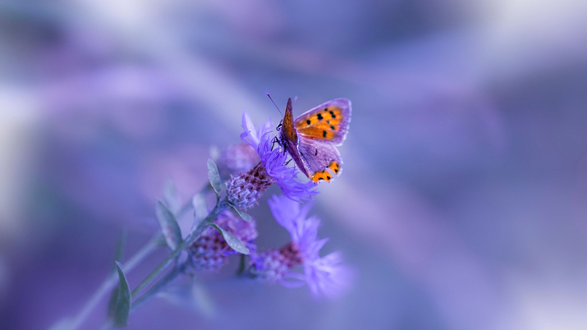 比赛中球队的团队协作程度得到提升,篮球比赛团队合作的例子