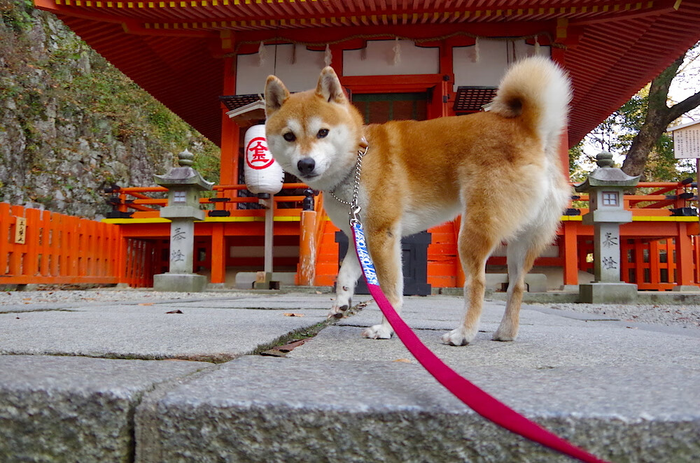 比赛中球员们奋勇争先,为球队赢得胜利,比赛前队员们提出大家要有齐心协力勇于拼搏