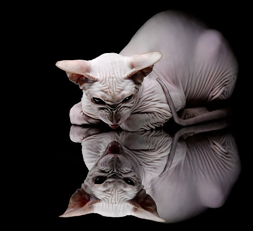 国足球队赛程安排影响,国足比赛状况