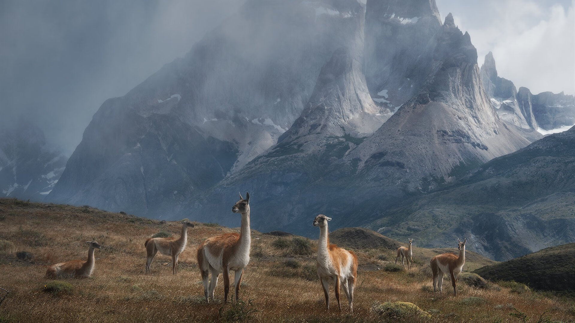 “切尔西3–0完胜巴黎,夺得首届扩军版冠军”