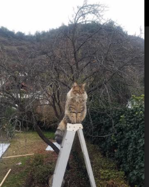 体育新闻中心推动5G技术在体育赛事直播中的应用，5g直播方案