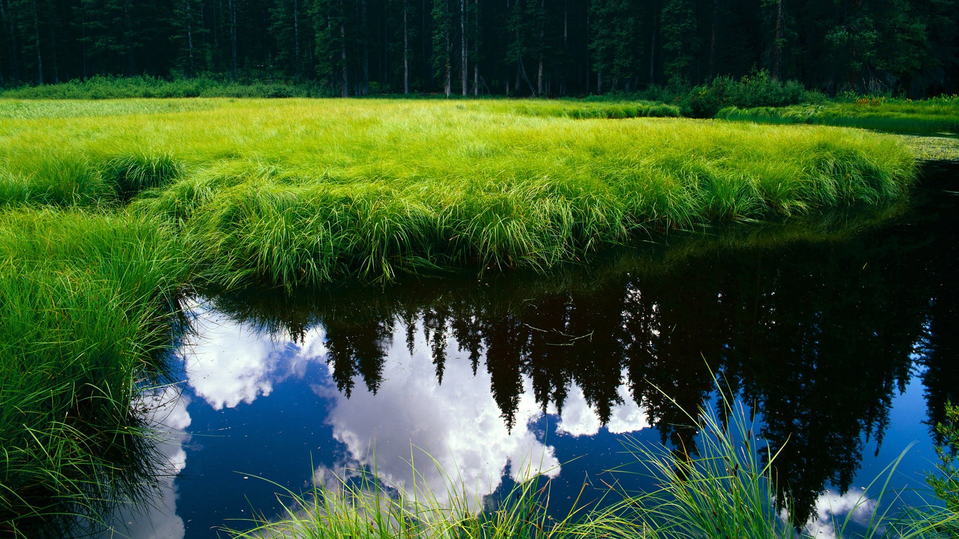 Kaiyun(中国)开云-技术流打法在中国足球的适用性，足坛十大技术型球员