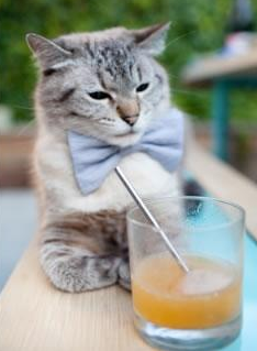 直播技术升级提升观赛互动体验,直播技能大赛技巧