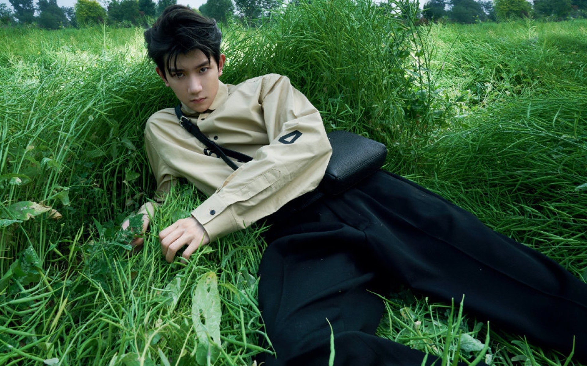 世界杯最终决战:技战术与团队精神的巅峰较量,世界杯最后谁赢了