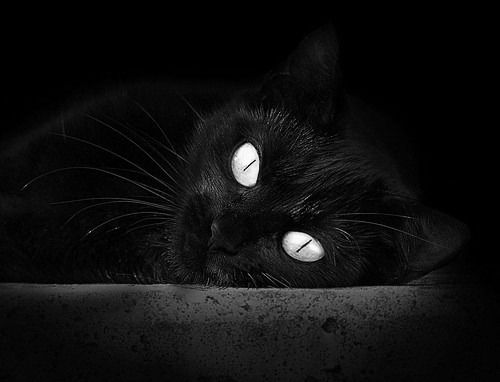 中国足球联赛推广主客场文化交流日,中国足球办会