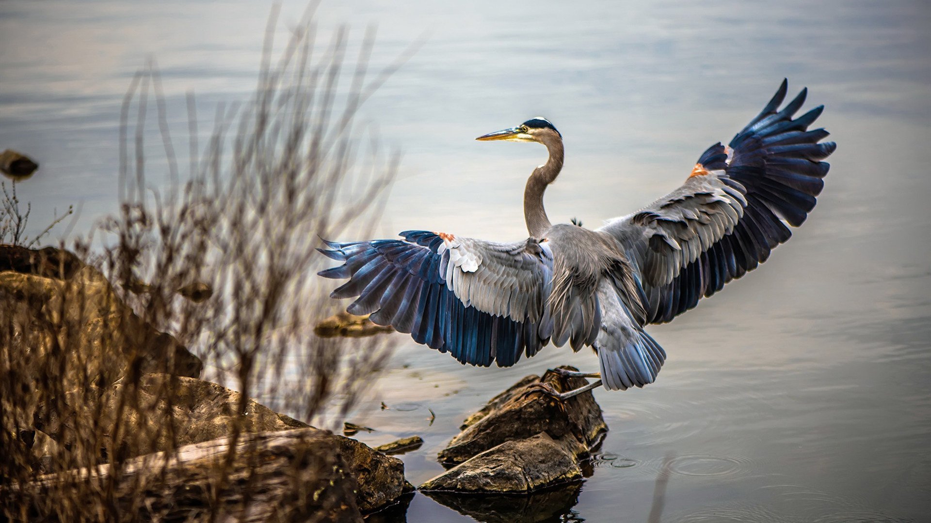 开云中国大陆-游泳技术动作与国际一流水平接轨，游泳技术视频教程