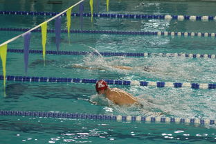 Kaiyun(中国)开云-韩国男队自由泳爆发力惊人，韩国200米自由泳