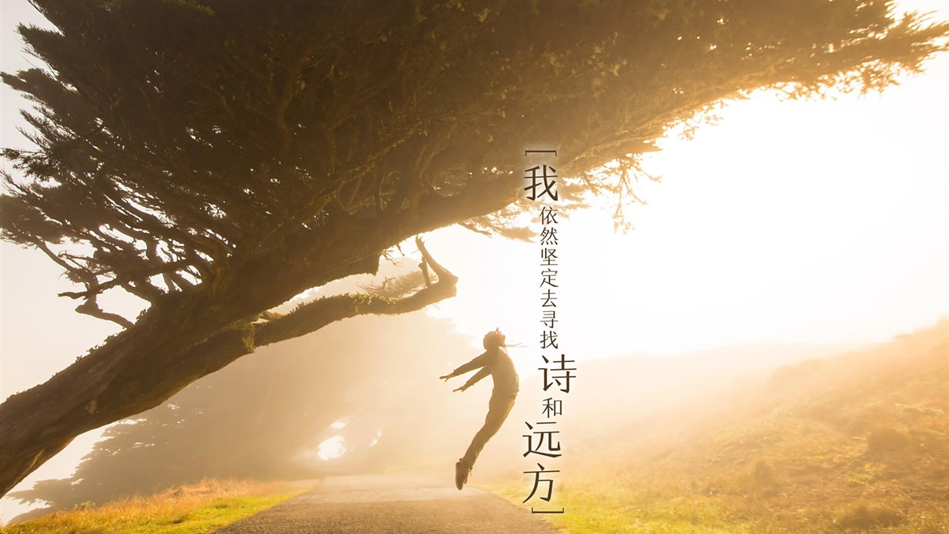 韩国男队自由泳爆发力惊人，韩国200米自由泳